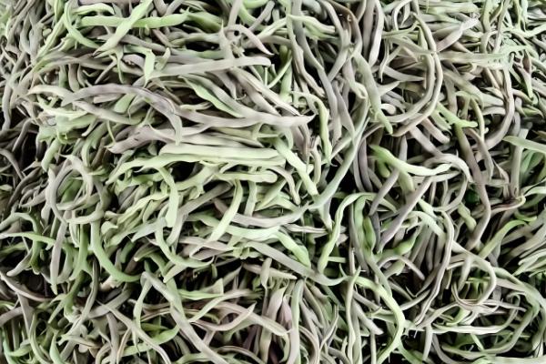 哪里产的芸豆最有名，拜泉和宁阳伏山的芸豆都比较出名