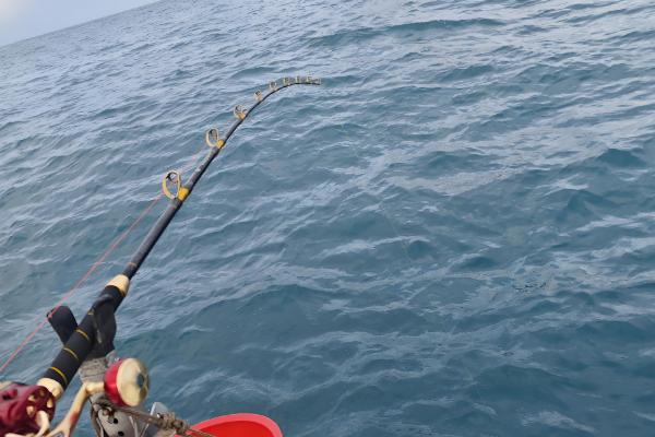 海钓怎样正确的抛竿，可采取上投式、斜投式等