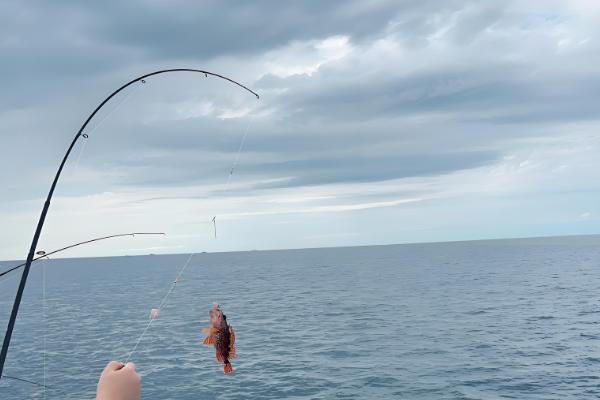 海钓怎样正确的抛竿，可采取上投式、斜投式等