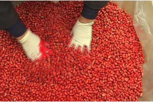 玉米种子的结构，分为种皮、胚、胚乳