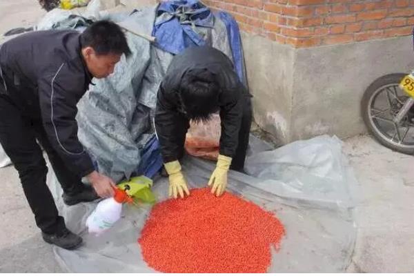 玉米种子的结构，分为种皮、胚、胚乳