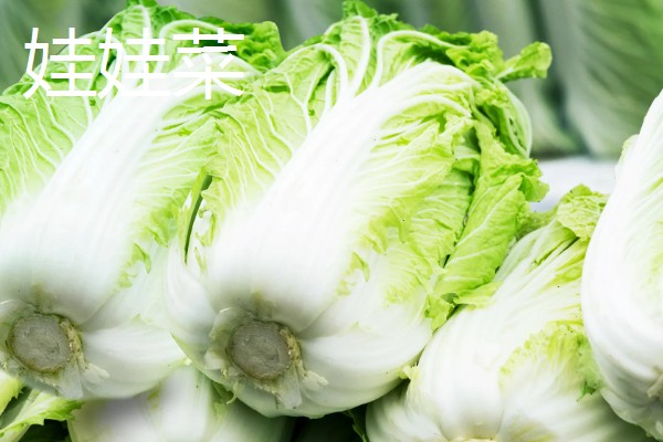 娃娃菜与大白菜有何区别，外形、颜色、口感等方面都不同