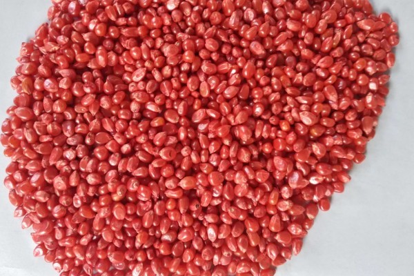 对作物种子包衣有什么好处，能起到防治苗期病虫害等作用