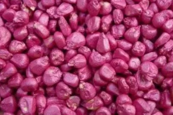 对作物种子包衣有什么好处，能起到防治苗期病虫害等作用