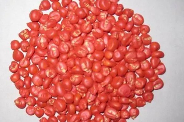 对作物种子包衣有什么好处，能起到防治苗期病虫害等作用