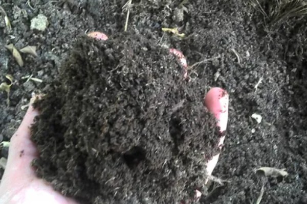 什么是腐植酸有机肥，是指含有大量腐植酸的肥料