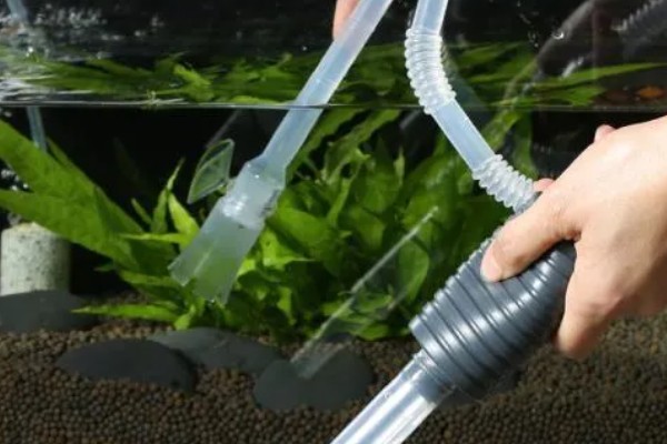 鱼缸水变黄了如何处理，最好的办法就是换水