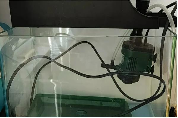 鱼缸水泵嗡嗡有震动声怎么办，震动在可接受范围便不用担心