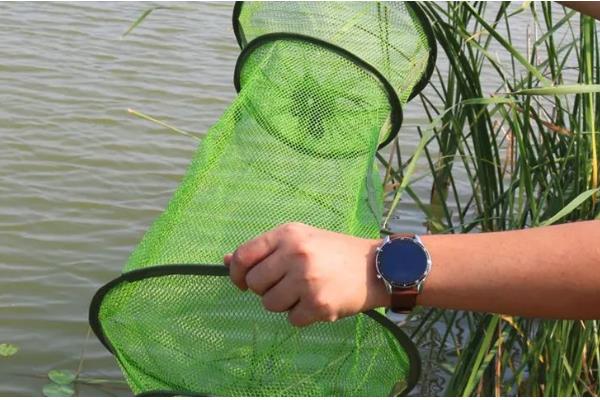 螃蟹喜食哪种诱饵，蚯蚓、螺肉等饵料均可选用