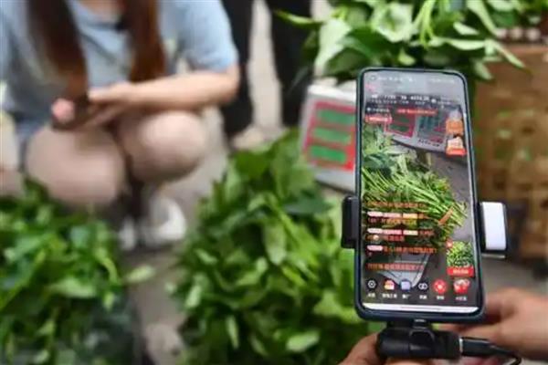 有哪些可以赚钱的新项目，以下4种值得考虑