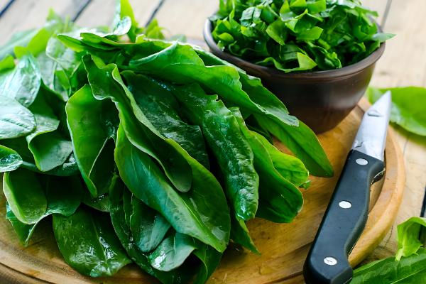 海白菜的价格，一斤售价3-7元左右