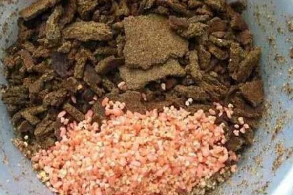 手竿能钓黑鱼吗，可以使用手竿来垂钓黑鱼