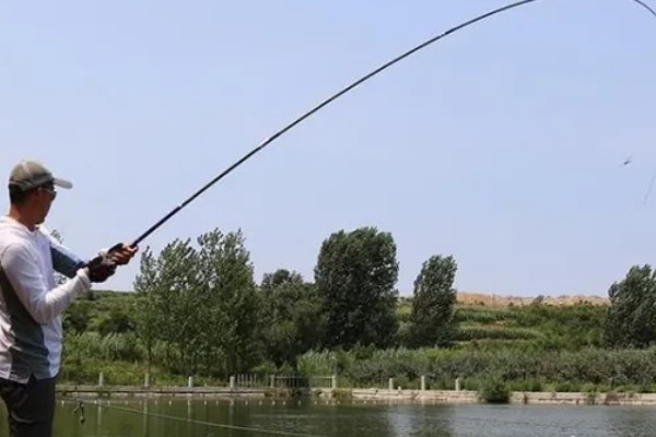 手竿能钓黑鱼吗，可以使用手竿来垂钓黑鱼