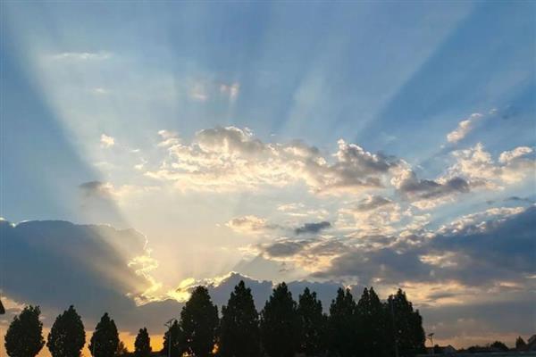 散射光照的意思，是指经过一些物体遮挡后透下来的光线