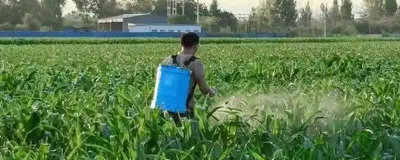 喹硫磷的使用注意事项，每季作物最多只能使用3次