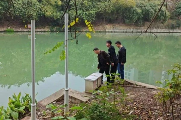 怎么养蟹,每天投喂1-2次