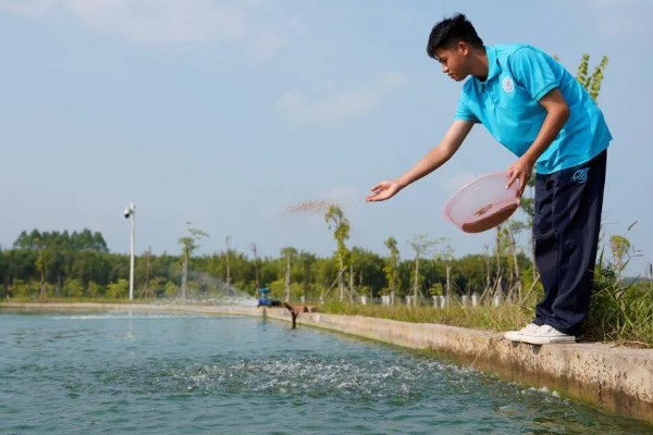 怎么养蟹,每天投喂1-2次