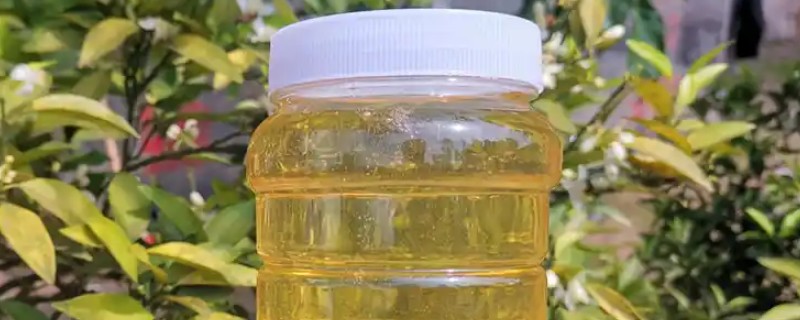 橙花蜜简介，是蜜蜂采集橙树花蜜酿制而成的