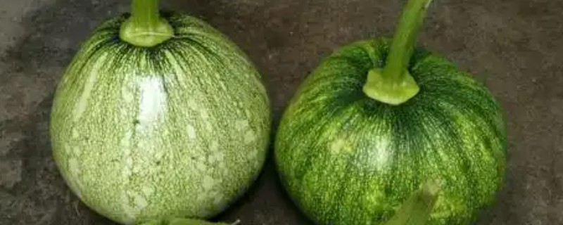 窝瓜可以放冰箱吗，可以放在冰箱冷藏或冷冻