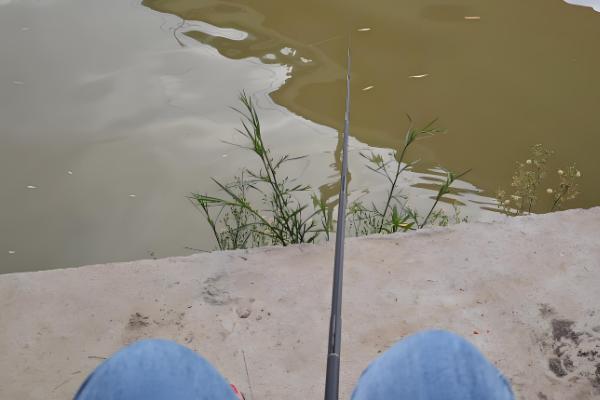 鱼竿包的简介,是指装鱼竿的背包或手提包