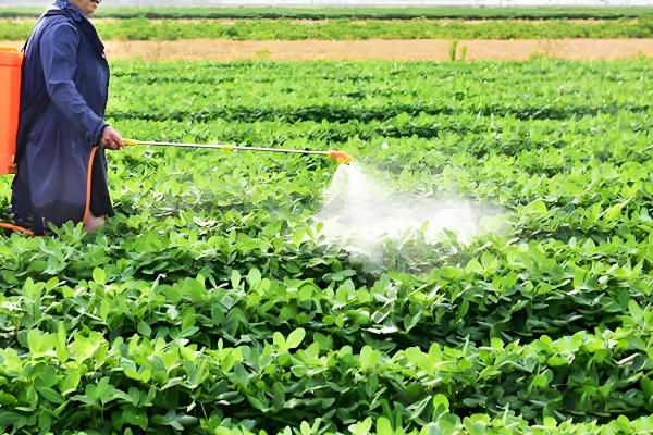 花生对肥料的需求，氮素需求最多、钾素次之、磷钙最少