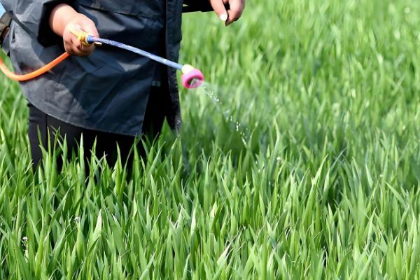 噻唑膦的使用方法,不可直接和作物的根系接触