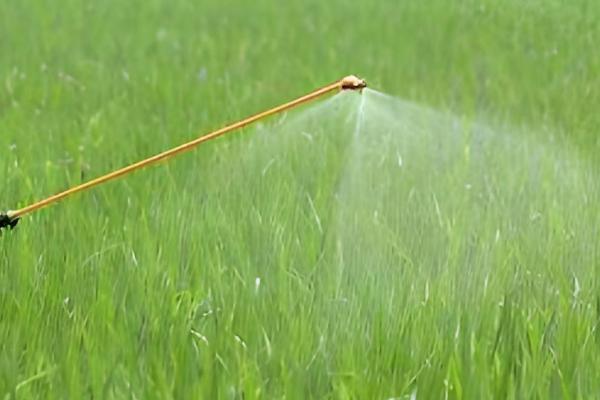 噻唑膦的使用方法,不可直接和作物的根系接触