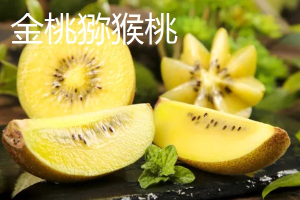 白猕猴桃的种植前景,产量高且售价高前景可观