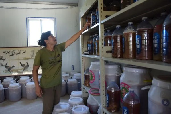 农药存放的要素,主要注意以下7点