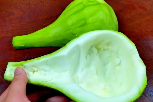 瓠子和西葫芦的区别，原产地和生长环境均不同