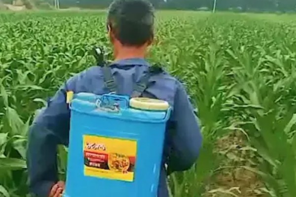 吡虫啉是不是有机磷农药，属于氯化烟酰类杀虫剂