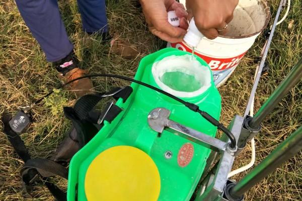 吡虫啉是不是有机磷农药，属于氯化烟酰类杀虫剂