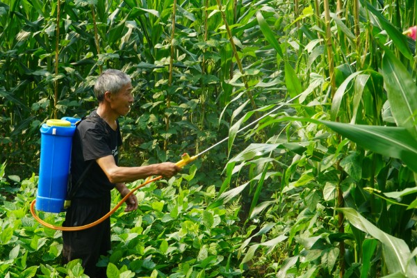 怎么使用烯唑醇，根据防治对象决定用法