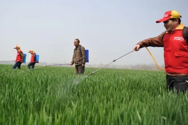 怎么使用烯唑醇，根据防治对象决定用法
