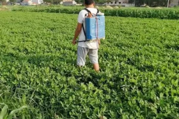 怎么使用烯唑醇，根据防治对象决定用法