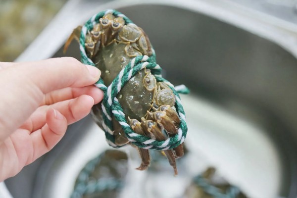 母蟹黄上的黑色是什么，是受精卵已经发育完成