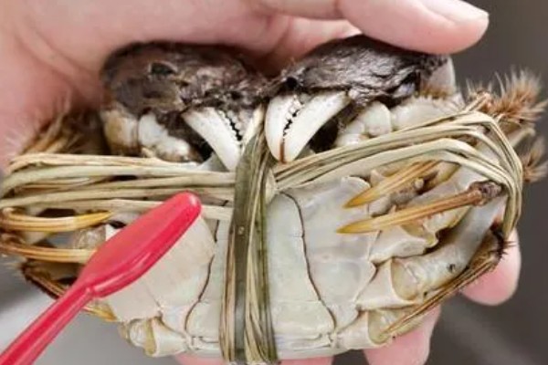 母蟹黄上的黑色是什么，是受精卵已经发育完成