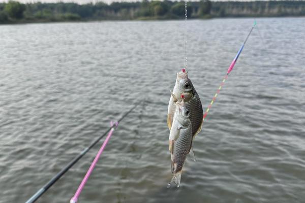 2.7米鱼竿与多长的主线一起使用，手竿和主线差不多等长时便于抛竿