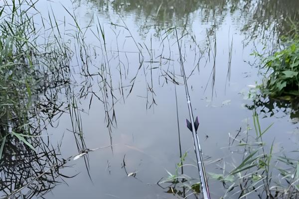 500元内的鱼竿推荐，大物师旗舰版、宏图五代等品牌值得选择