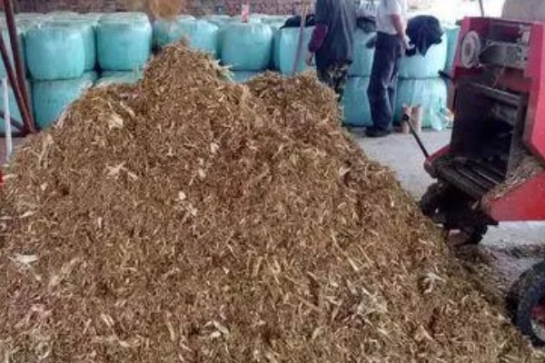 一亩玉米秸秆有多重,青贮玉米可达到8000-15000斤左右