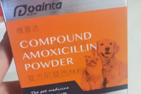 犬猫胃肠道癌怎么治疗，手术切除后使用环磷酰胺等药物