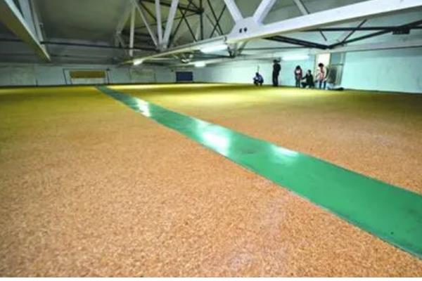 小麦种子哪个部位会产生二氧化碳，细胞质基质、线粒体均可产生