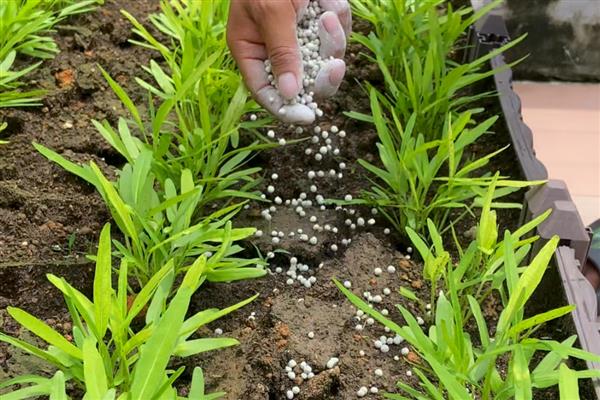 磷肥尿素复合肥有什么区别，养分、施肥特点都不同