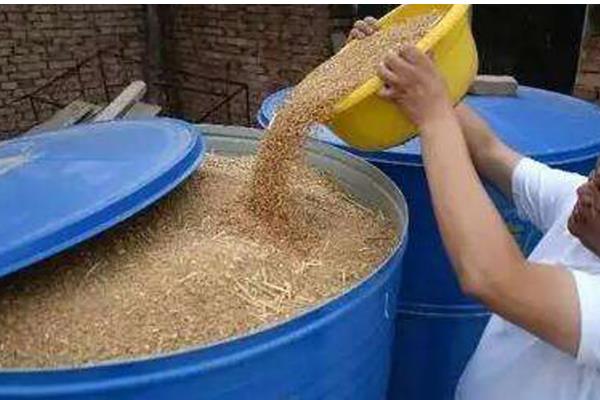 小麦种子哪个部位会产生二氧化碳，细胞质基质、线粒体均可产生