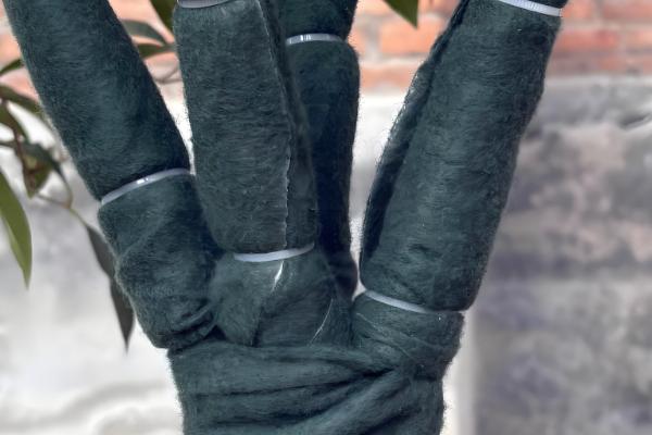 油茶冻害如何防治，首先选用耐冻当地品种