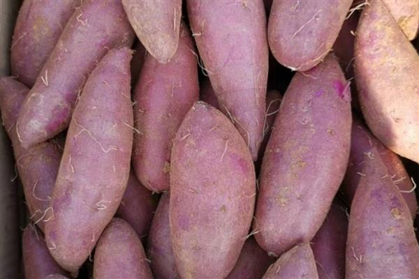 紫薯皮能吃吗，吃紫薯无需撕皮
