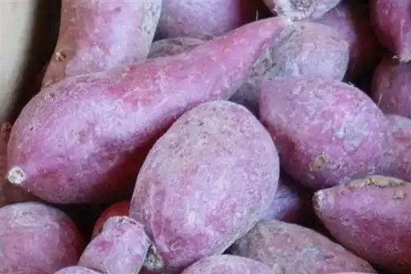 紫薯皮能吃吗，吃紫薯无需撕皮