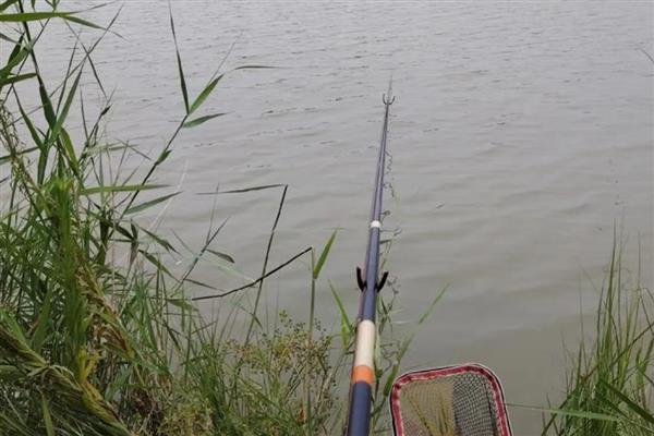 阴天钓鱼的技巧,可用溪流竿、台钓竿等手竿