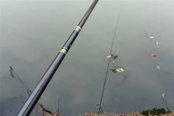 阴天钓鱼的技巧,可用溪流竿、台钓竿等手竿