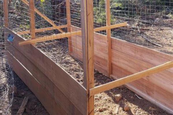 农村鸡舍怎么搭建,屋顶应该加盖稻草